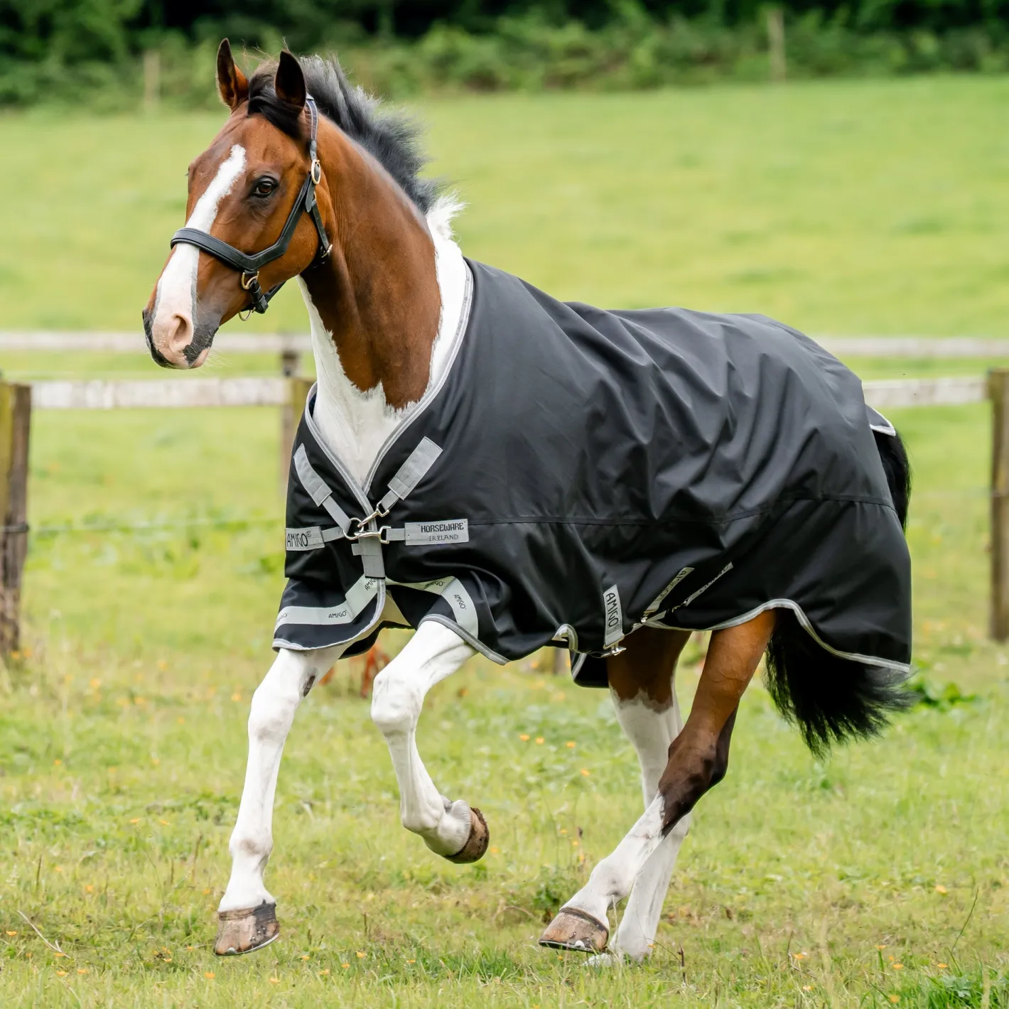 HORSEWARE ® Ireland Amigo® 1200D Plus Turnout 250 Gram