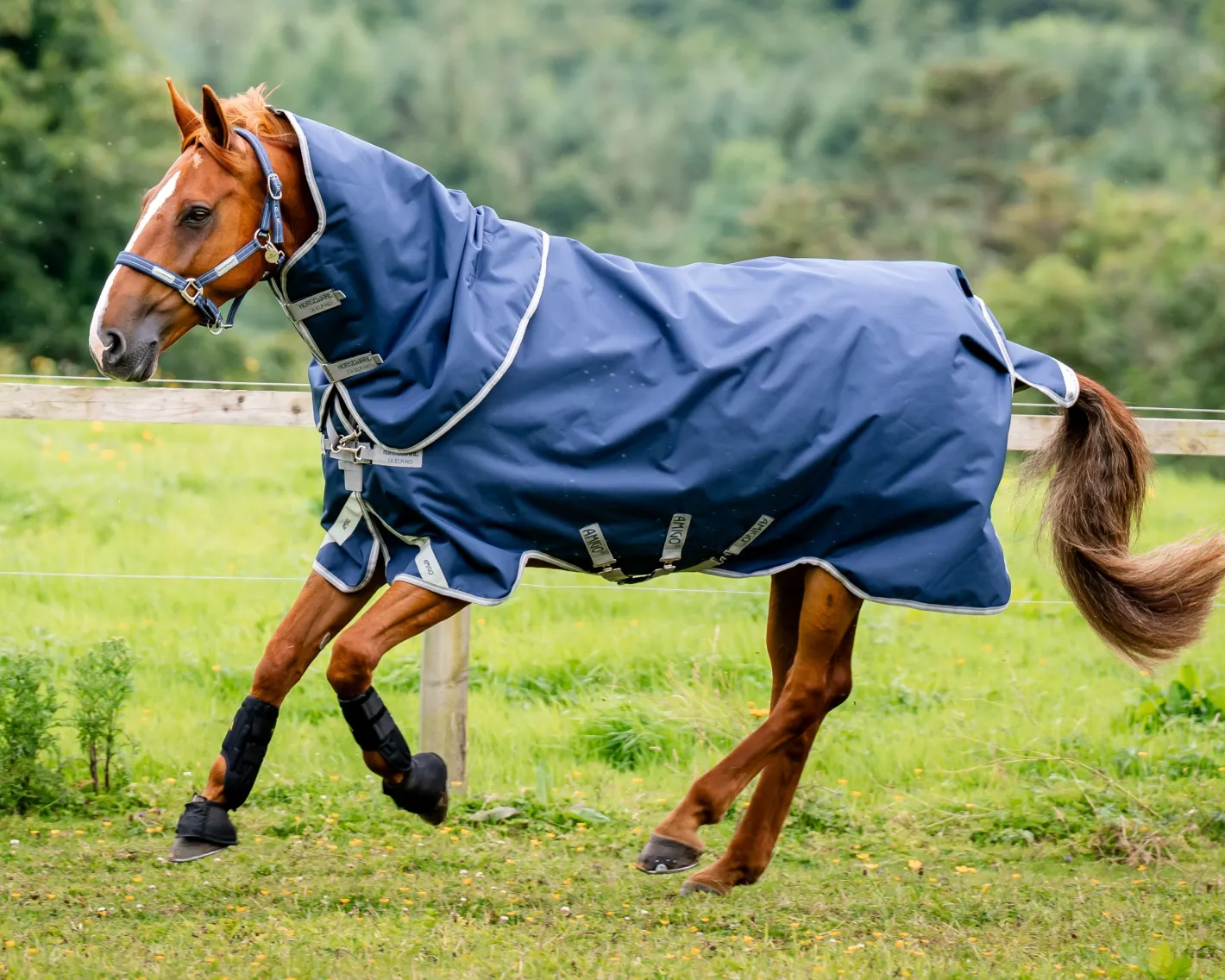 HORSEWARE ® Ireland Amigo® 1200D Plus Turnout 250 Gram