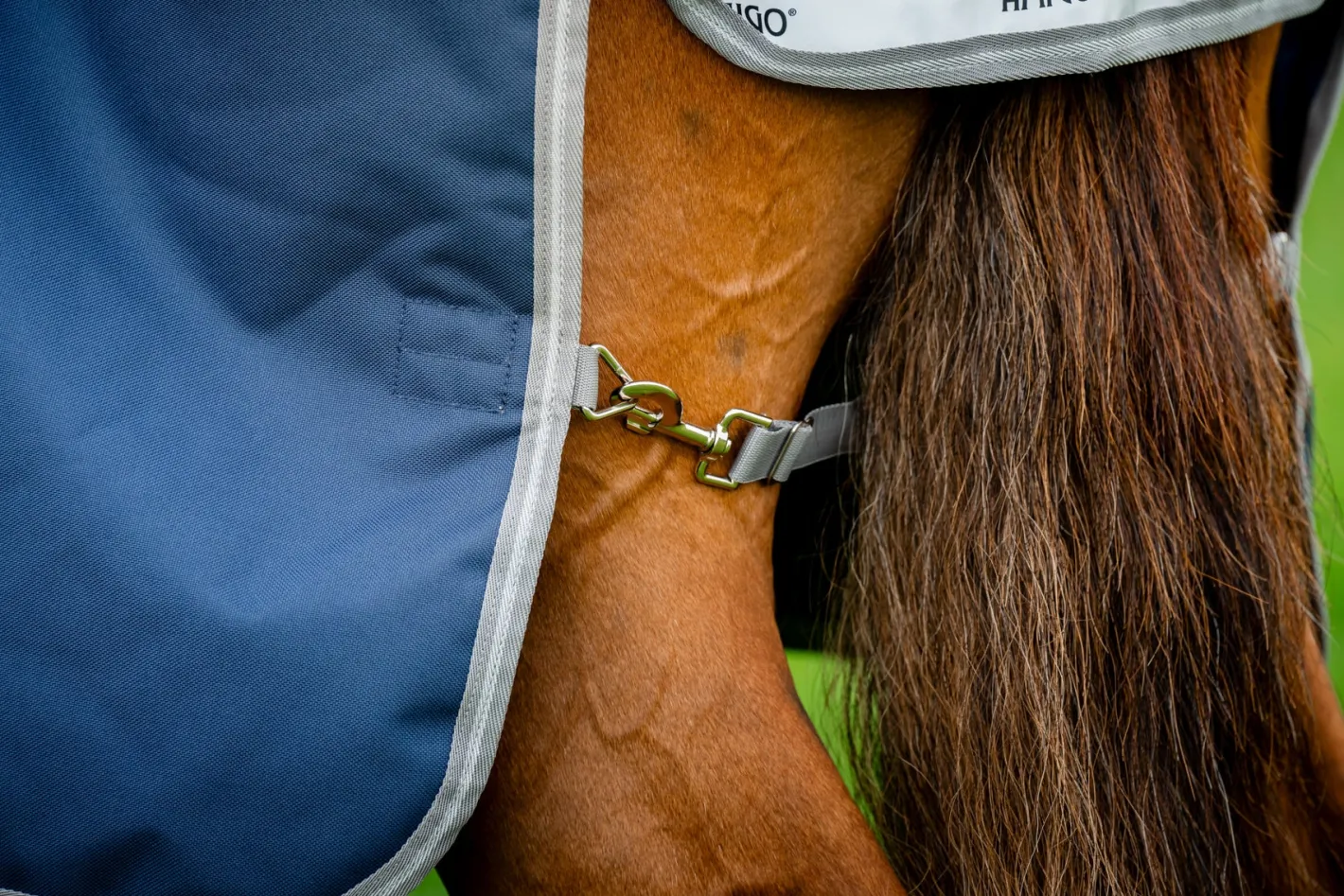 HORSEWARE ® Ireland Amigo® 1200D Plus Turnout 250 Gram