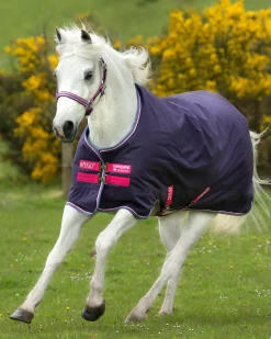HORSEWARE ® Ireland Amigo® Pony Hero 900D Medium-Weight Turnout Blanket