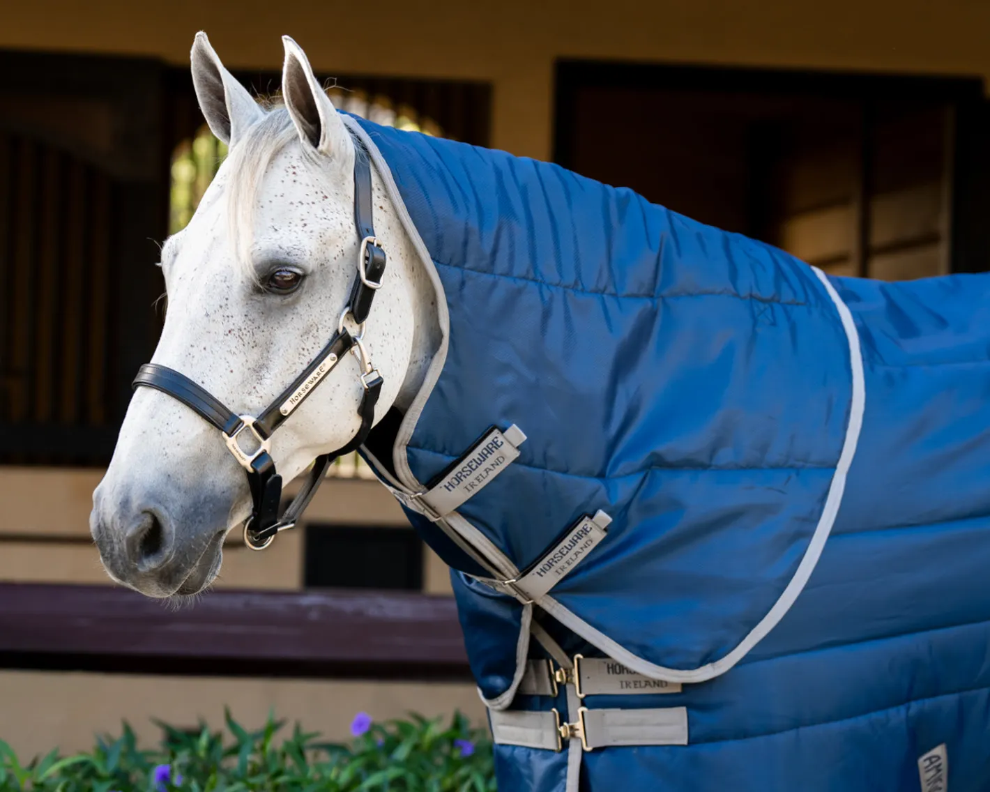 HORSEWARE ® Ireland Amigo® Ripstop Insulator Stable Plus Blanket - 350G