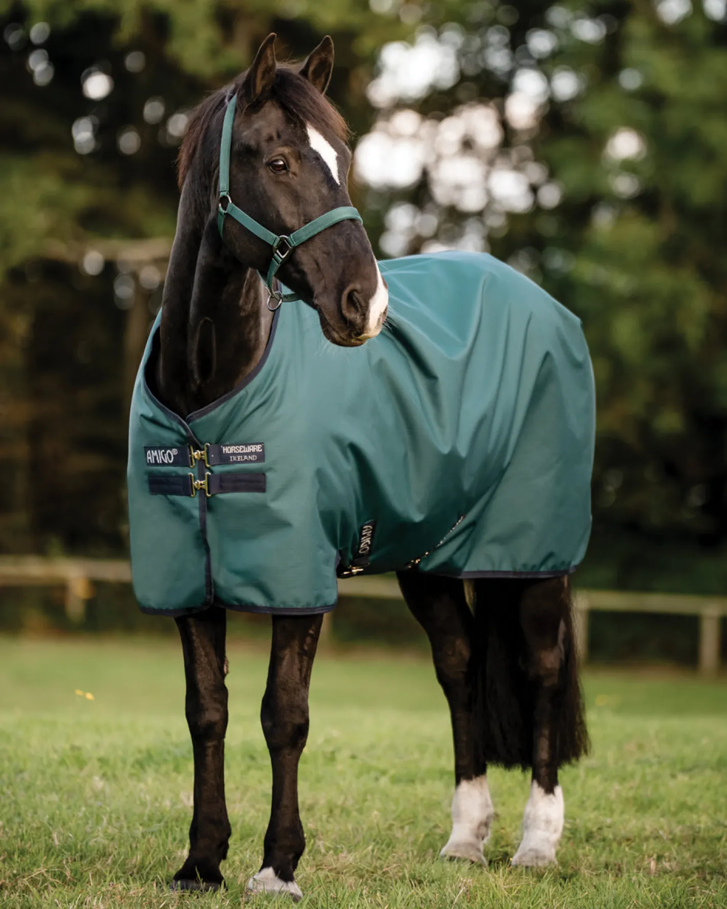 HORSEWARE ® Ireland Amigo® Ripstop 900D Standard Neck Turnout Sheet