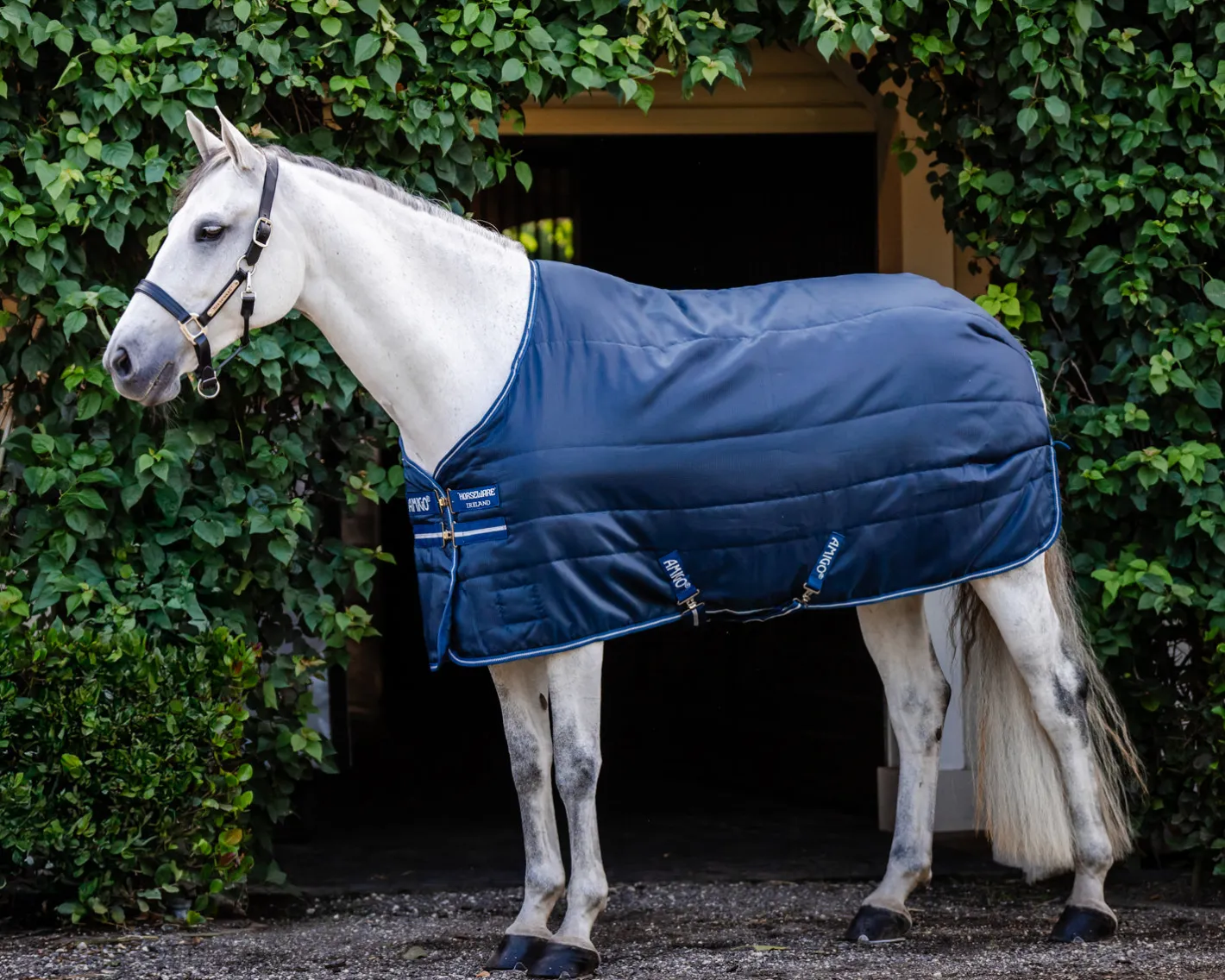 HORSEWARE ® Ireland Amigo® Ripstop Insulator Stable Blanket - 100G