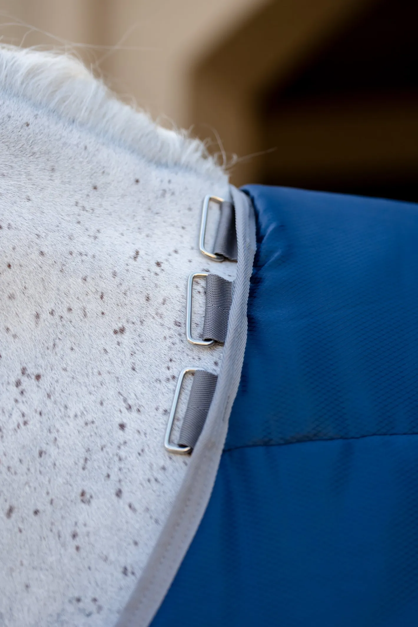 HORSEWARE ® Ireland Amigo® Ripstop Insulator Stable Blanket - 100G