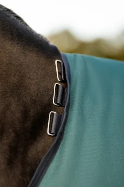 HORSEWARE ® Ireland Amigo® Ripstop 900D 200 Gram Standard Neck Turnout–Seasonal Color