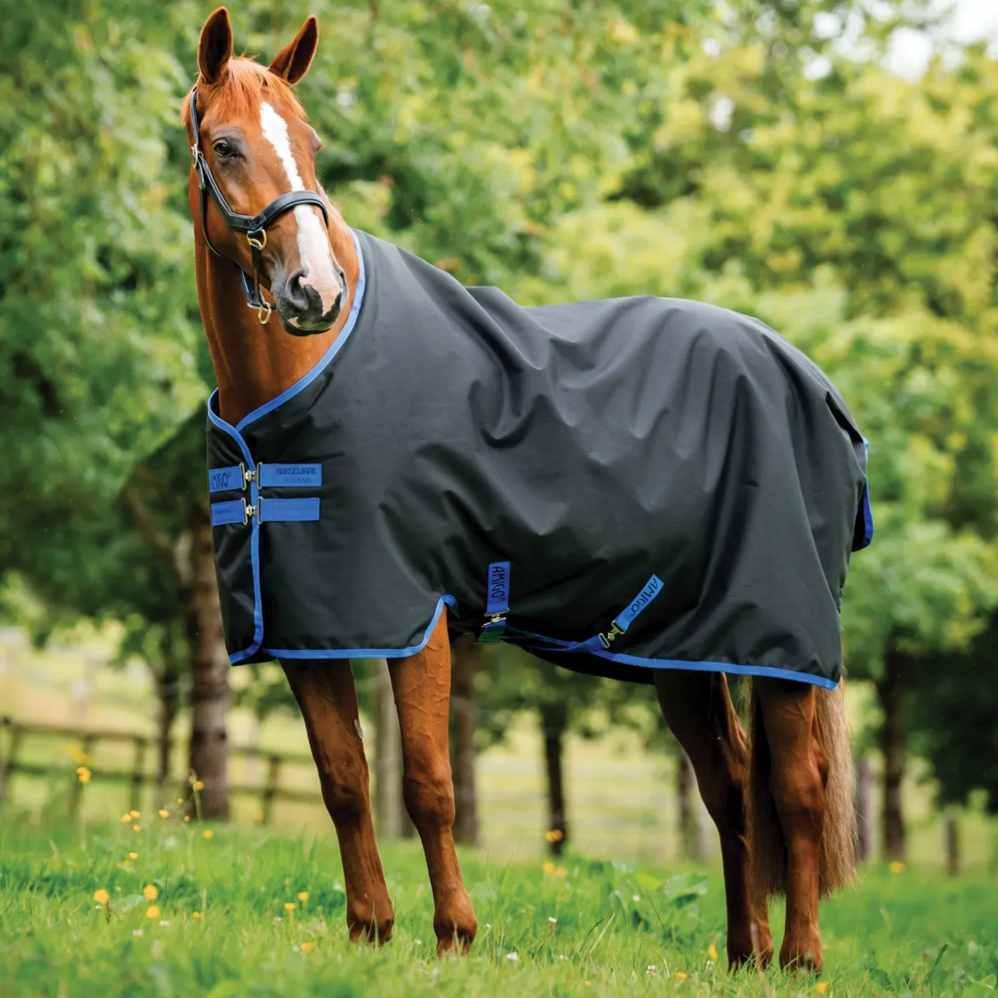 HORSEWARE ® Ireland Amigo® Ripstop 900D 50 Gram Standard Neck Turnout