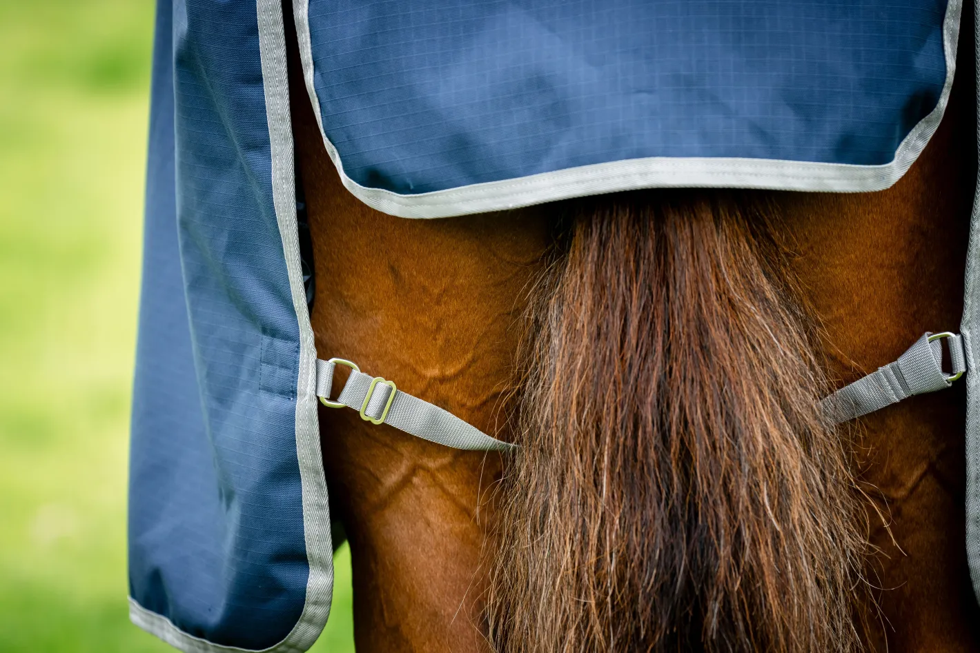 HORSEWARE ® Ireland Amigo® Ripstop 900D 50 Gram Standard Neck Turnout