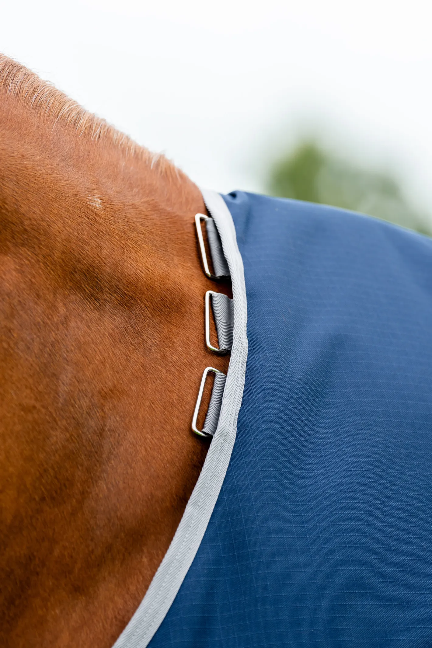 HORSEWARE ® Ireland Amigo® Ripstop 900D 50 Gram Standard Neck Turnout
