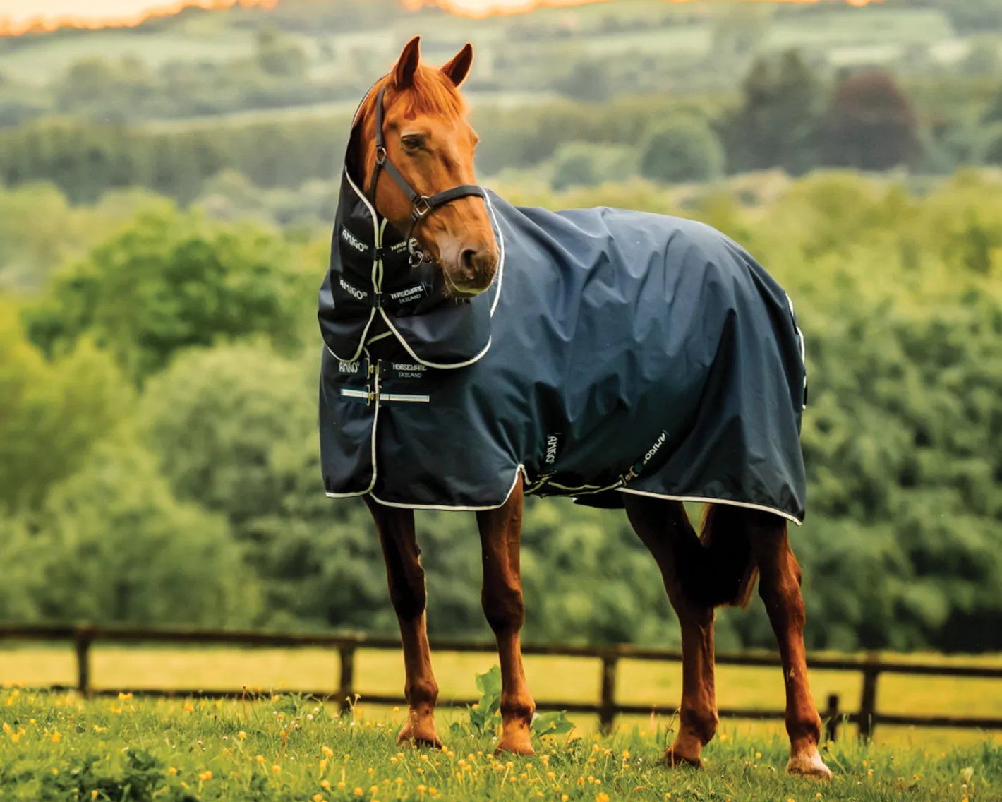 HORSEWARE ® Ireland Amigo® Ripstop 900D 100 Gram Plus Pony Turnout