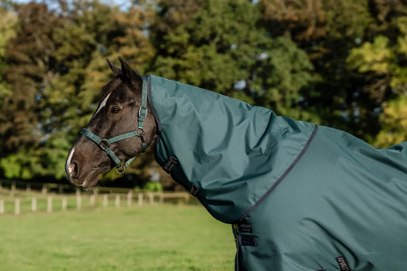 HORSEWARE ® Ireland Amigo® Ripstop 900D 100 Gram Plus Pony Turnout