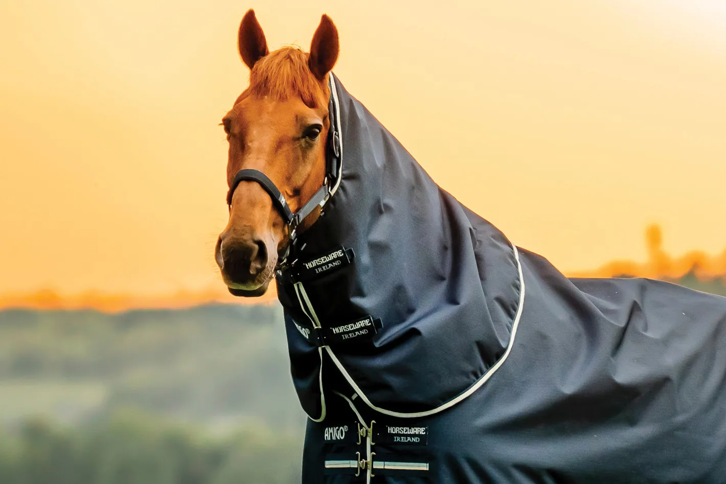HORSEWARE ® Ireland Amigo® Ripstop 900D 100 Gram Plus Turnout