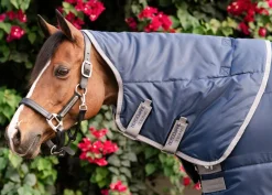 HORSEWARE ® Ireland Amigo® Ripstop Insulator Stable Pony Plus Blanket - 200G