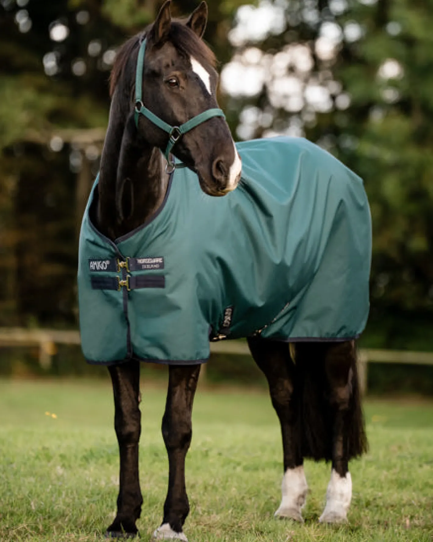 HORSEWARE ® Ireland Amigo® Ripstop 900D 200 Gram Standard Neck Pony Turnout–Seasonal Color