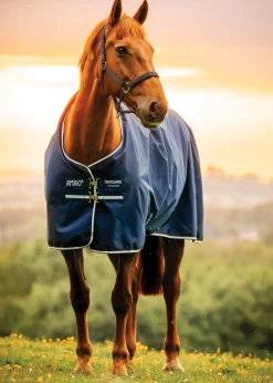 HORSEWARE ® Ireland Amigo® Ripstop 900D 200 Gram Standard Neck Pony Turnout–Seasonal Color