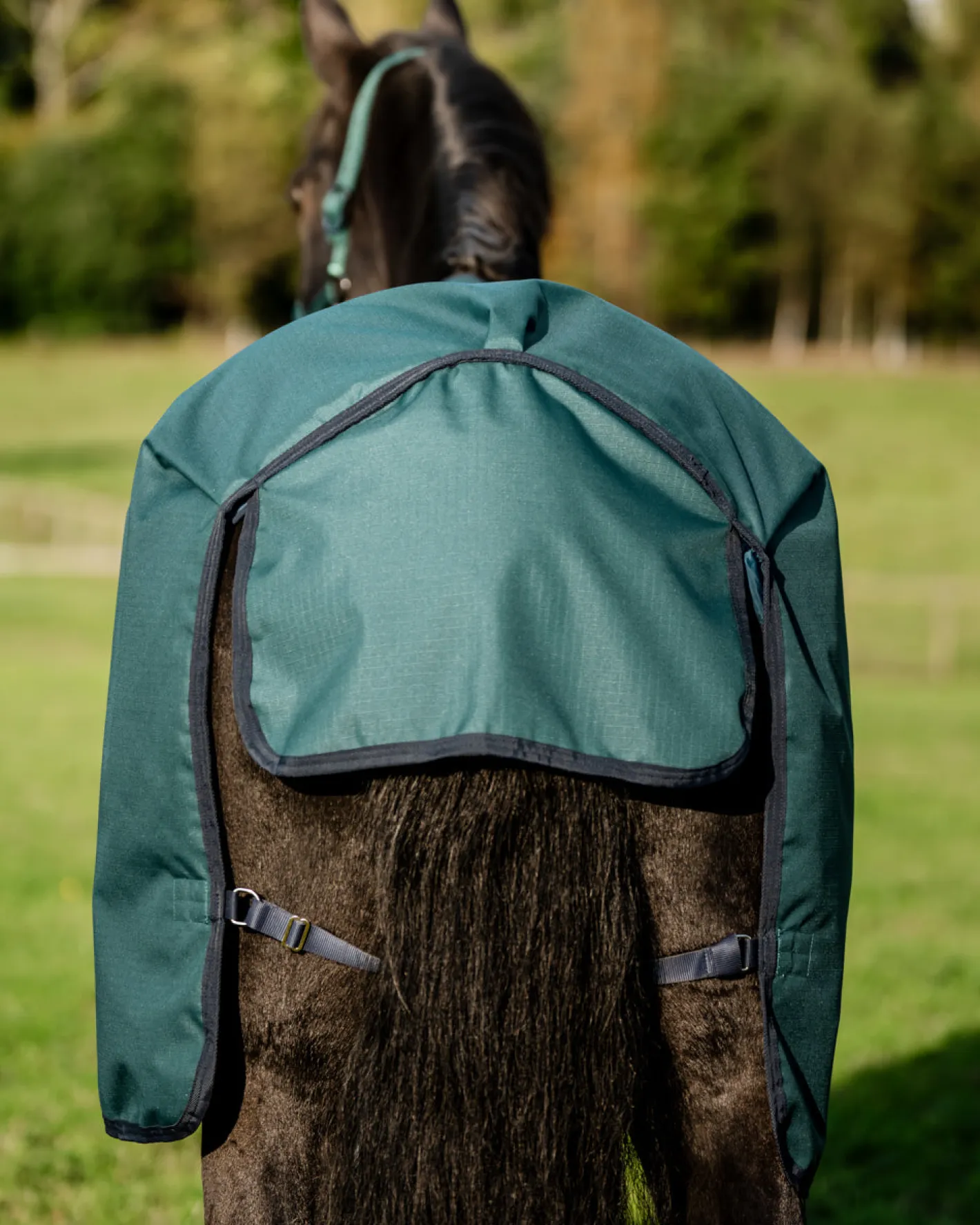 HORSEWARE ® Ireland Amigo® Ripstop 900D 200 Gram Standard Neck Pony Turnout–Seasonal Color