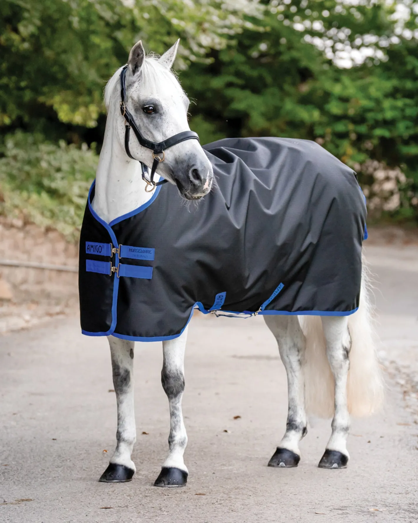 HORSEWARE ® Ireland Amigo® Ripstop 900D 50 Gram Standard Neck Pony Turnout