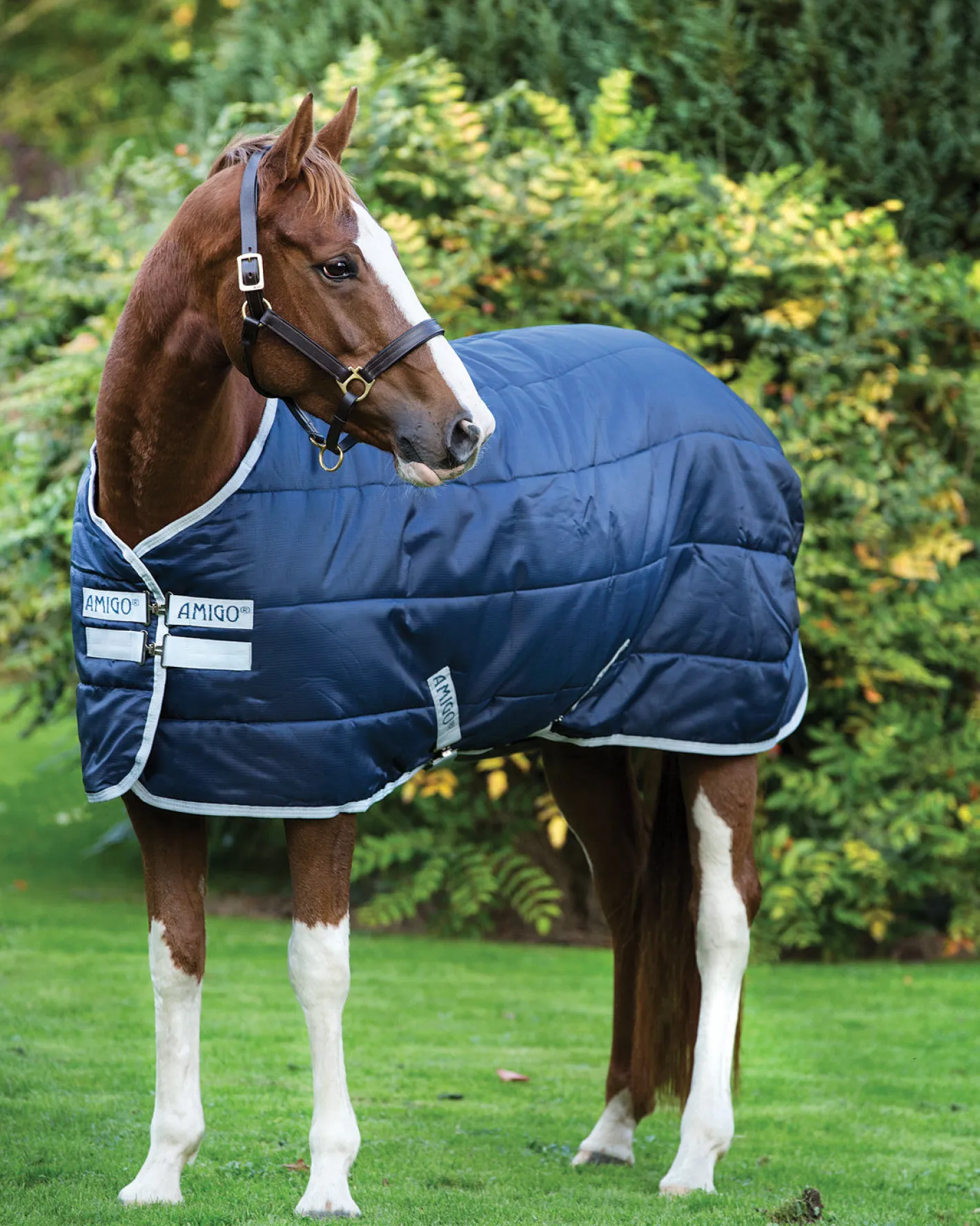 HORSEWARE ® Ireland Amigo® Stable Blanket