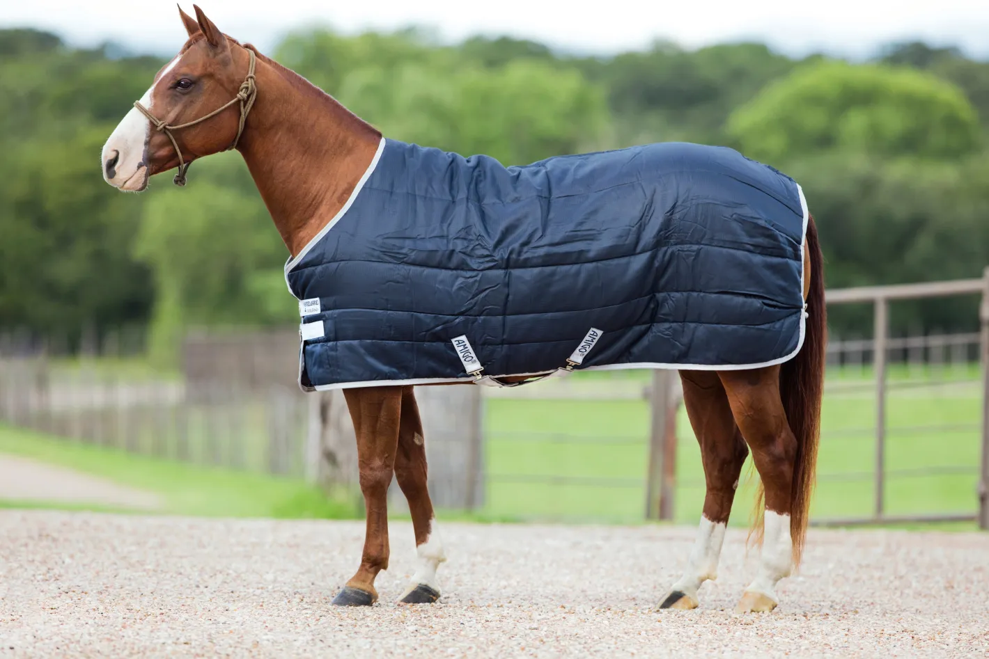 HORSEWARE ® Ireland Amigo® Stable Blanket
