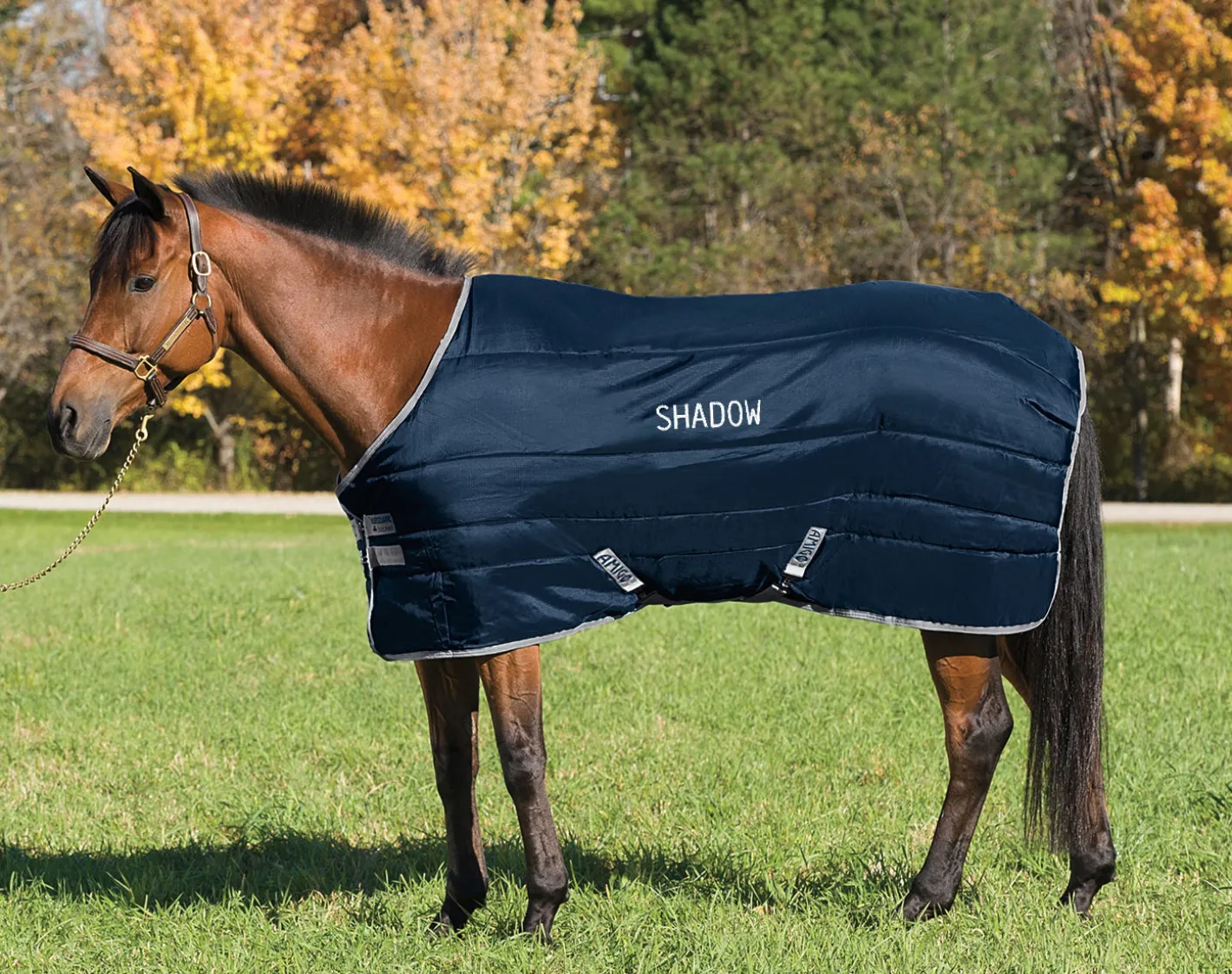 HORSEWARE ® Ireland Amigo® Stable Blanket