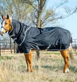HORSEWARE ® Ireland Amigo® Stock Horse Plus 200g