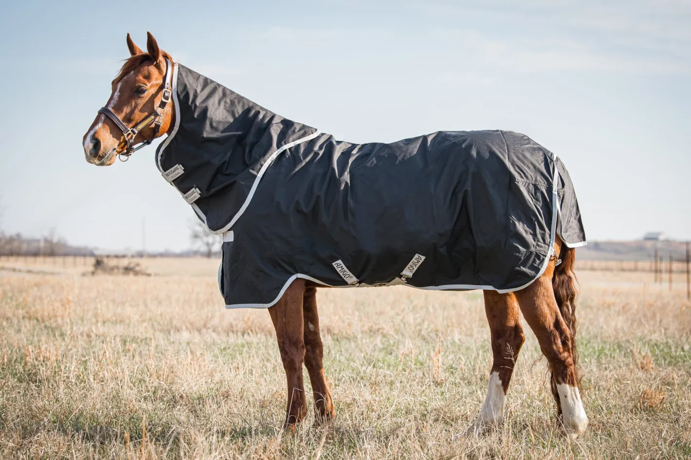 HORSEWARE Ireland® Amigo® Stock Horse Plus Turnout Light