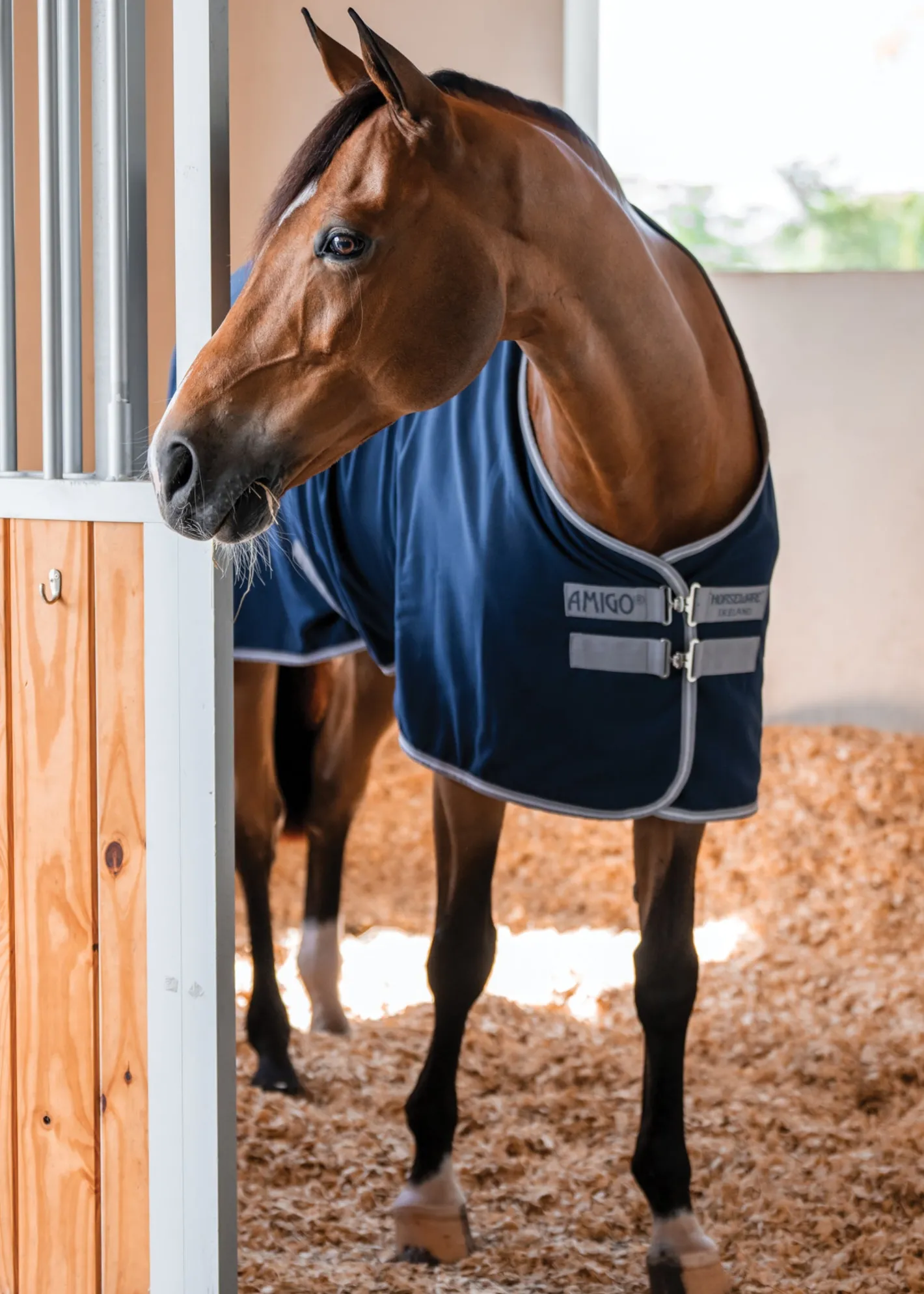 HORSEWARE ® Ireland Amigo® Stable Sheet–Core Color