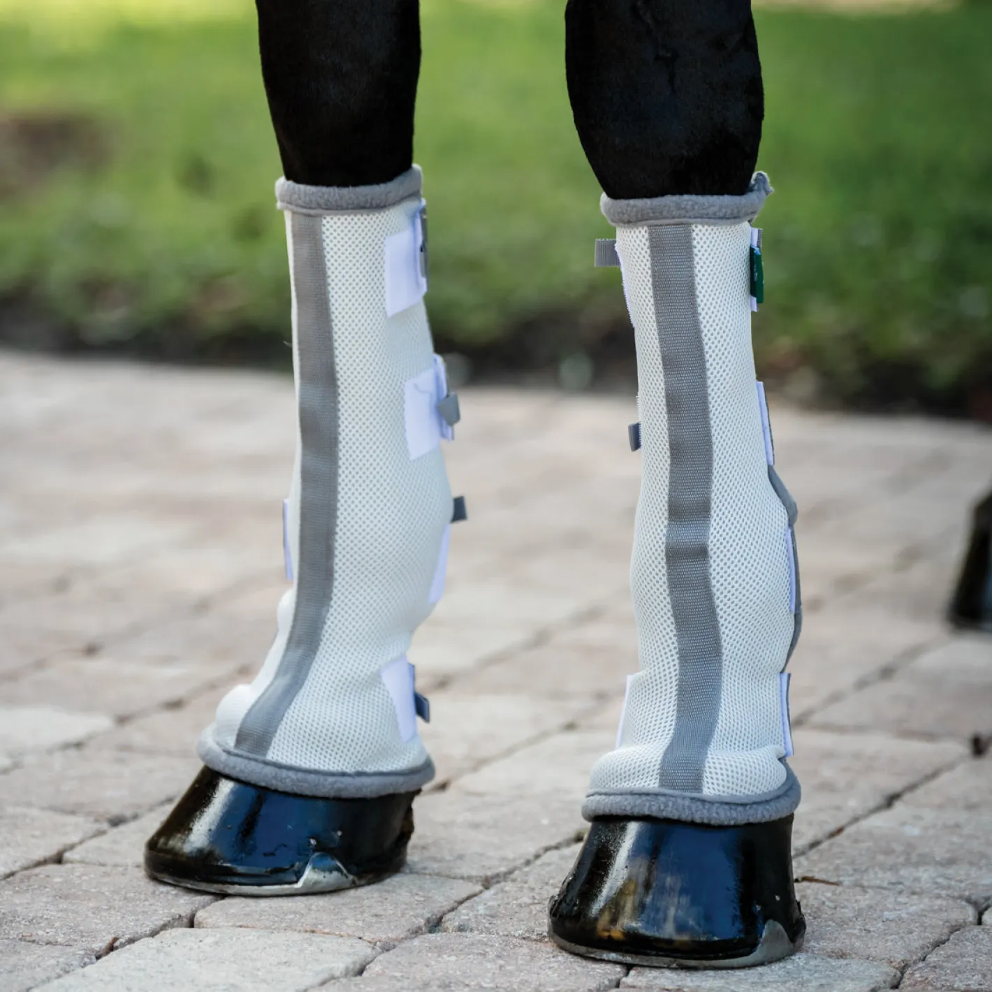 HORSEWARE ® Ireland Fly Boots, Set of 2