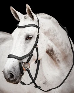 HORSEWARE ® Ireland Micklem2 Competition Bridle with Reins