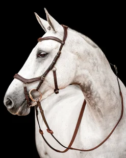 HORSEWARE ® Ireland Micklem2 Competition Bridle with Reins