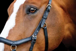 HORSEWARE ® Ireland Micklem2 Competition Bridle with Reins