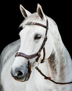 HORSEWARE ® Ireland Micklem2 Multibridle USA with Reins