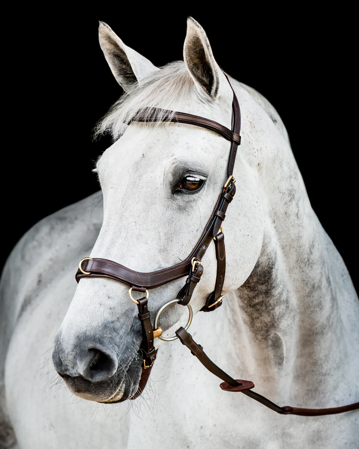 HORSEWARE ® Ireland Micklem2 Multibridle USA with Reins