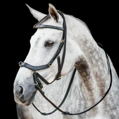 HORSEWARE ® Ireland Micklem2 Multibridle USA with Reins