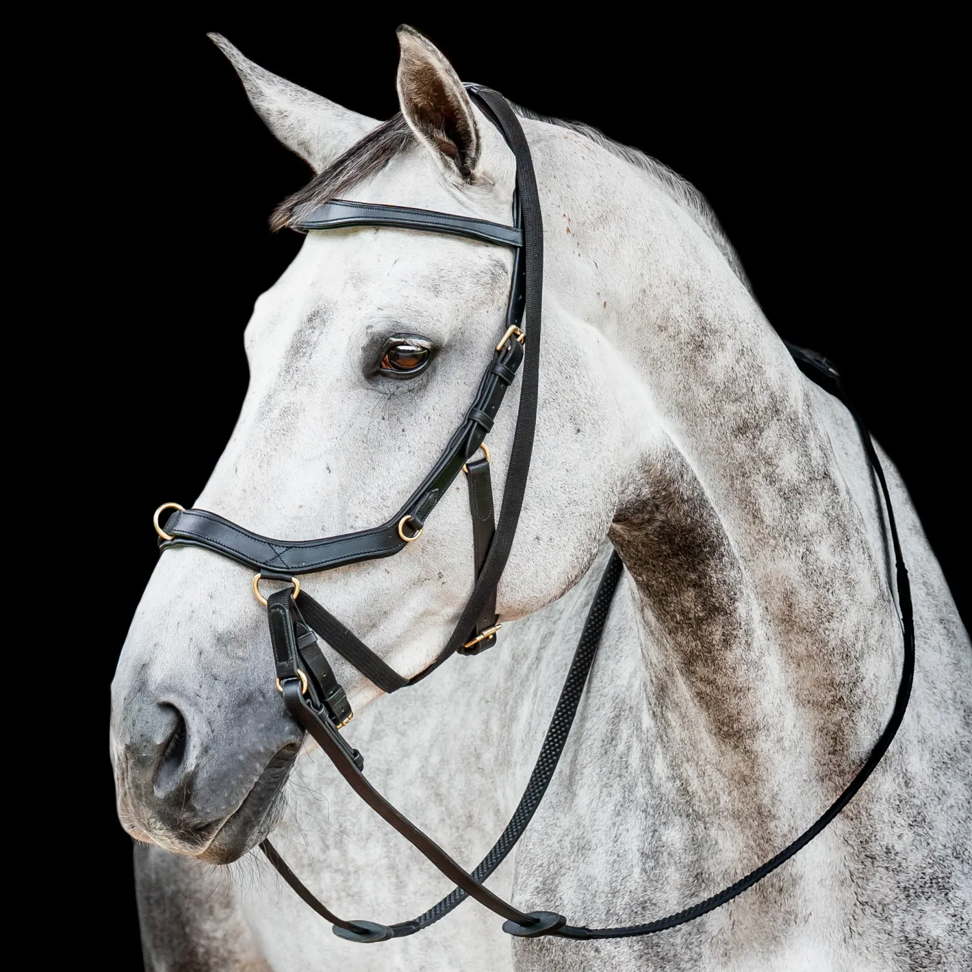 HORSEWARE ® Ireland Micklem2 Multibridle USA with Reins