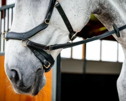 HORSEWARE ® Ireland Micklem2 Multibridle USA with Reins