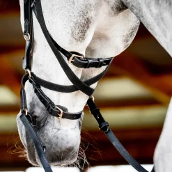 HORSEWARE ® Ireland Micklem2 Multibridle USA with Reins