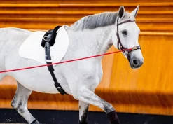 HORSEWARE ® Ireland Micklem2 Multibridle USA with Reins