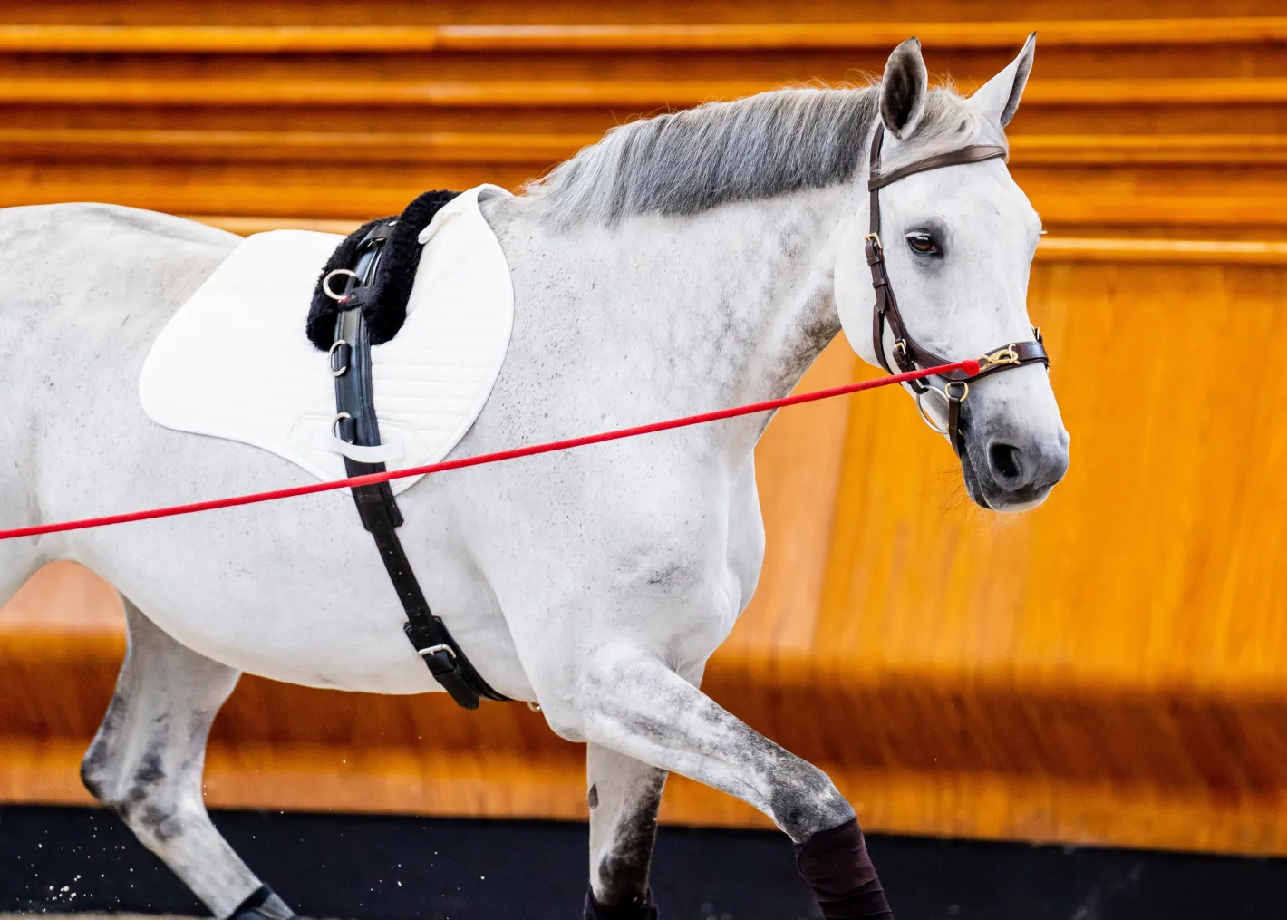 HORSEWARE ® Ireland Micklem2 Multibridle USA with Reins