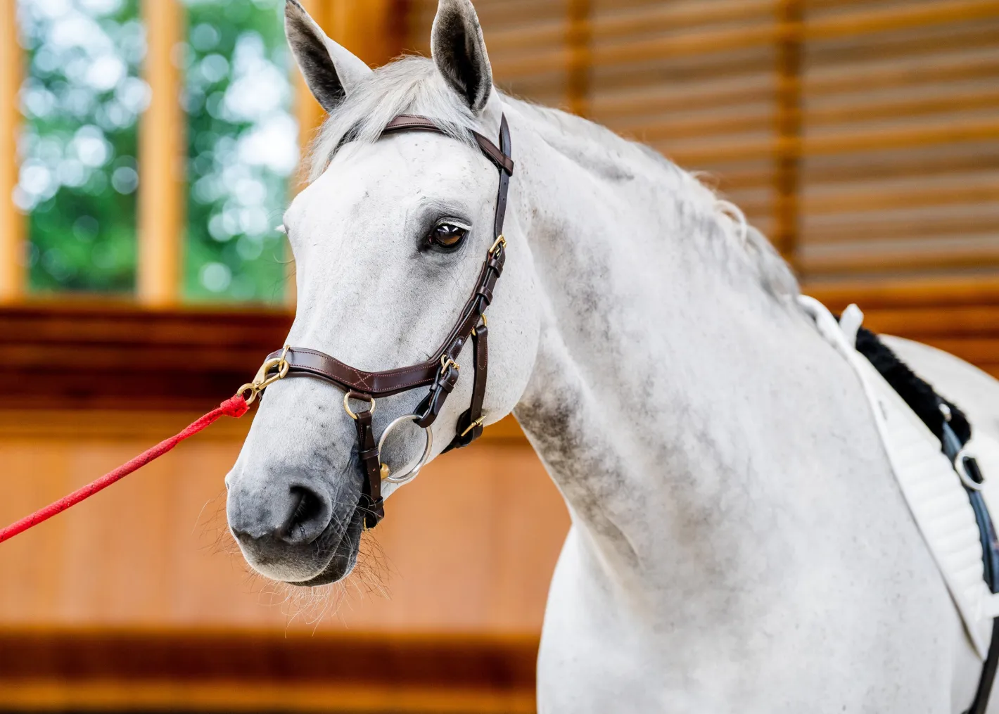 HORSEWARE ® Ireland Micklem2 Multibridle USA with Reins