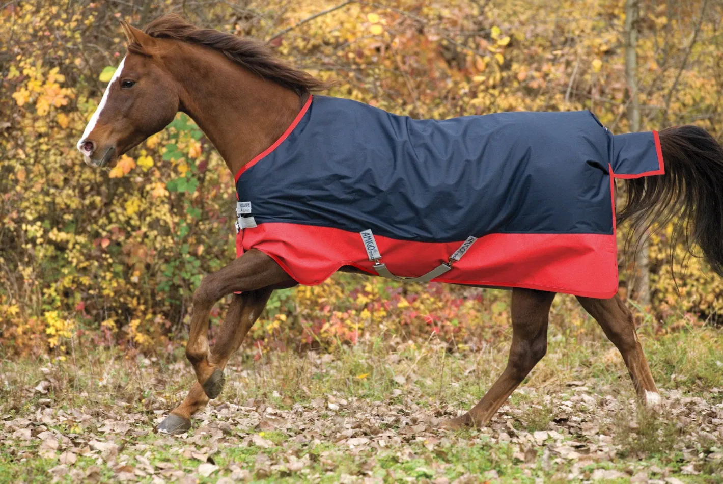 HORSEWARE ® Ireland Mio® Lite Turnout Sheet