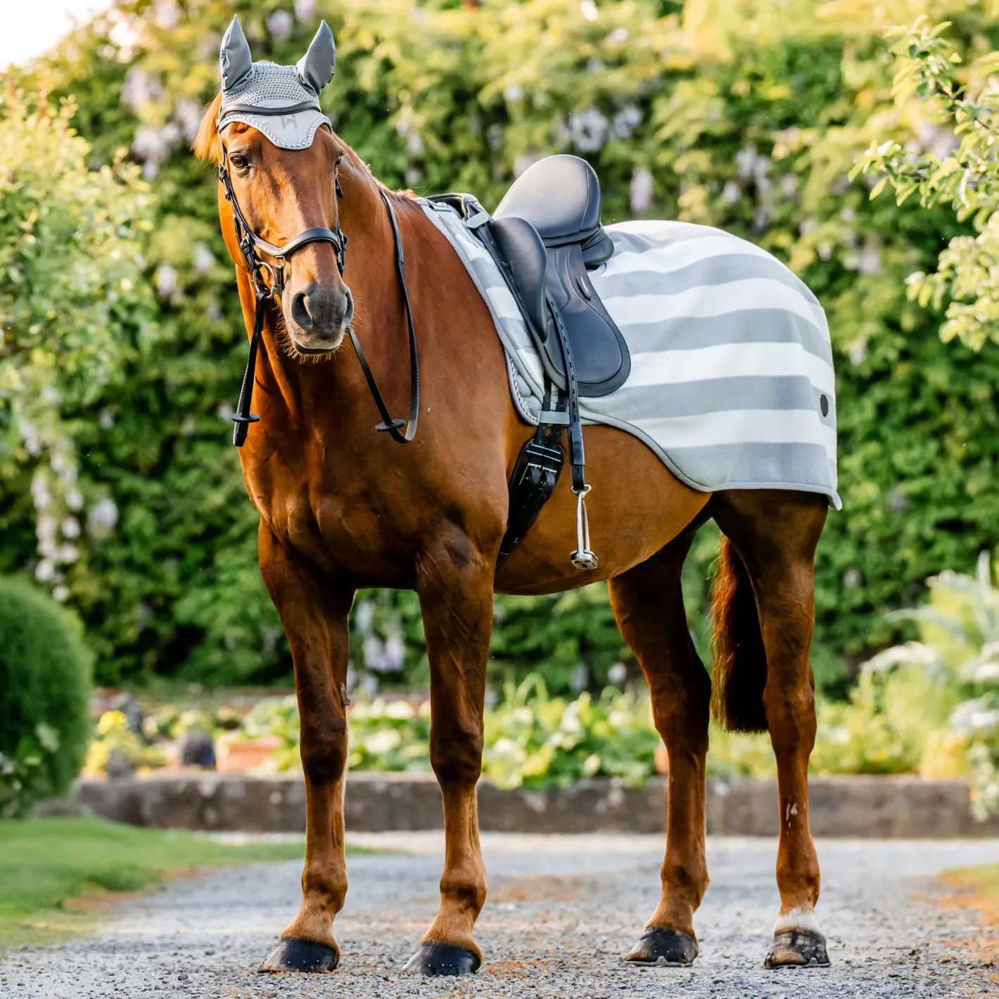 HORSEWARE ® Ireland Newmarket Exercise Sheet
