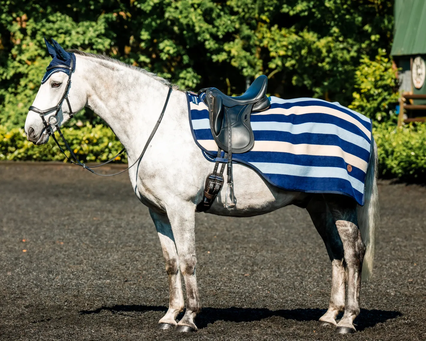 HORSEWARE ® Ireland Newmarket Exercise Sheet