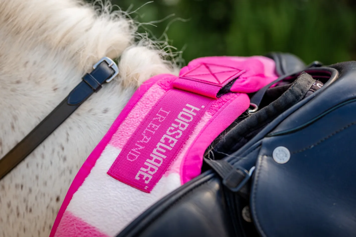 HORSEWARE ® Ireland Newmarket Exercise Sheet