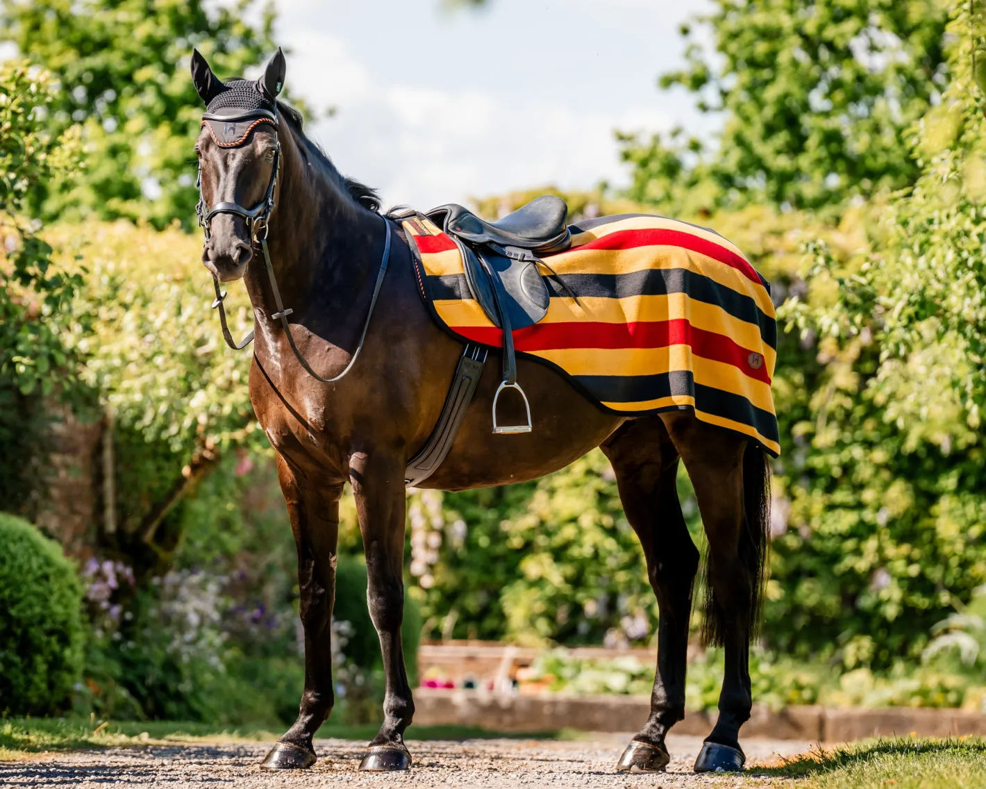 HORSEWARE ® Ireland Newmarket Exercise Sheet