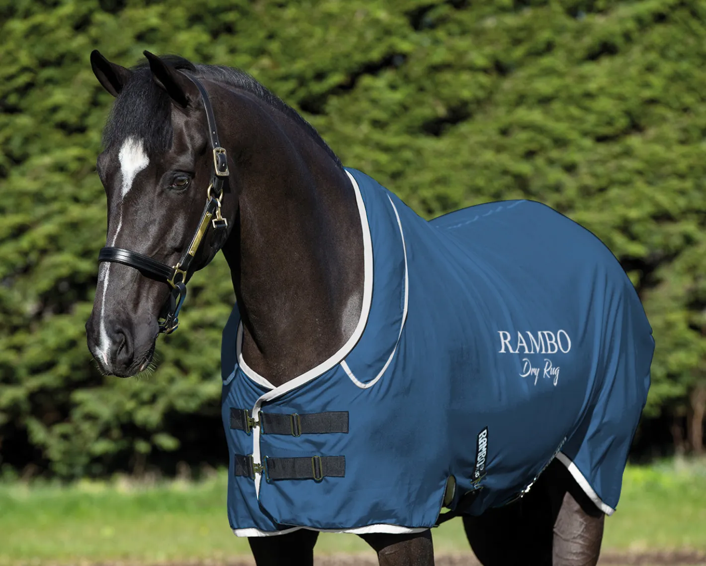 HORSEWARE ® Ireland Rambo® Dry Rug Supreme