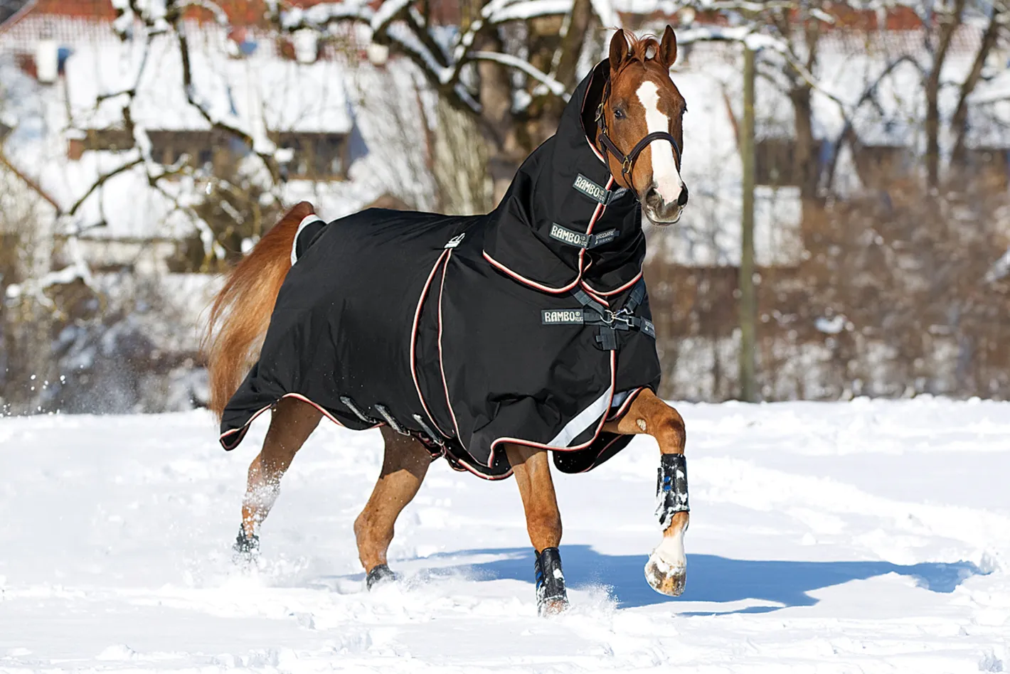 HORSEWARE ® Ireland Rambo® Optimo Turnout Blanket