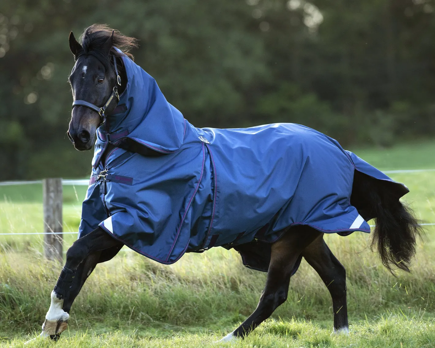HORSEWARE ® Ireland Rambo® Optimo Turnout Blanket