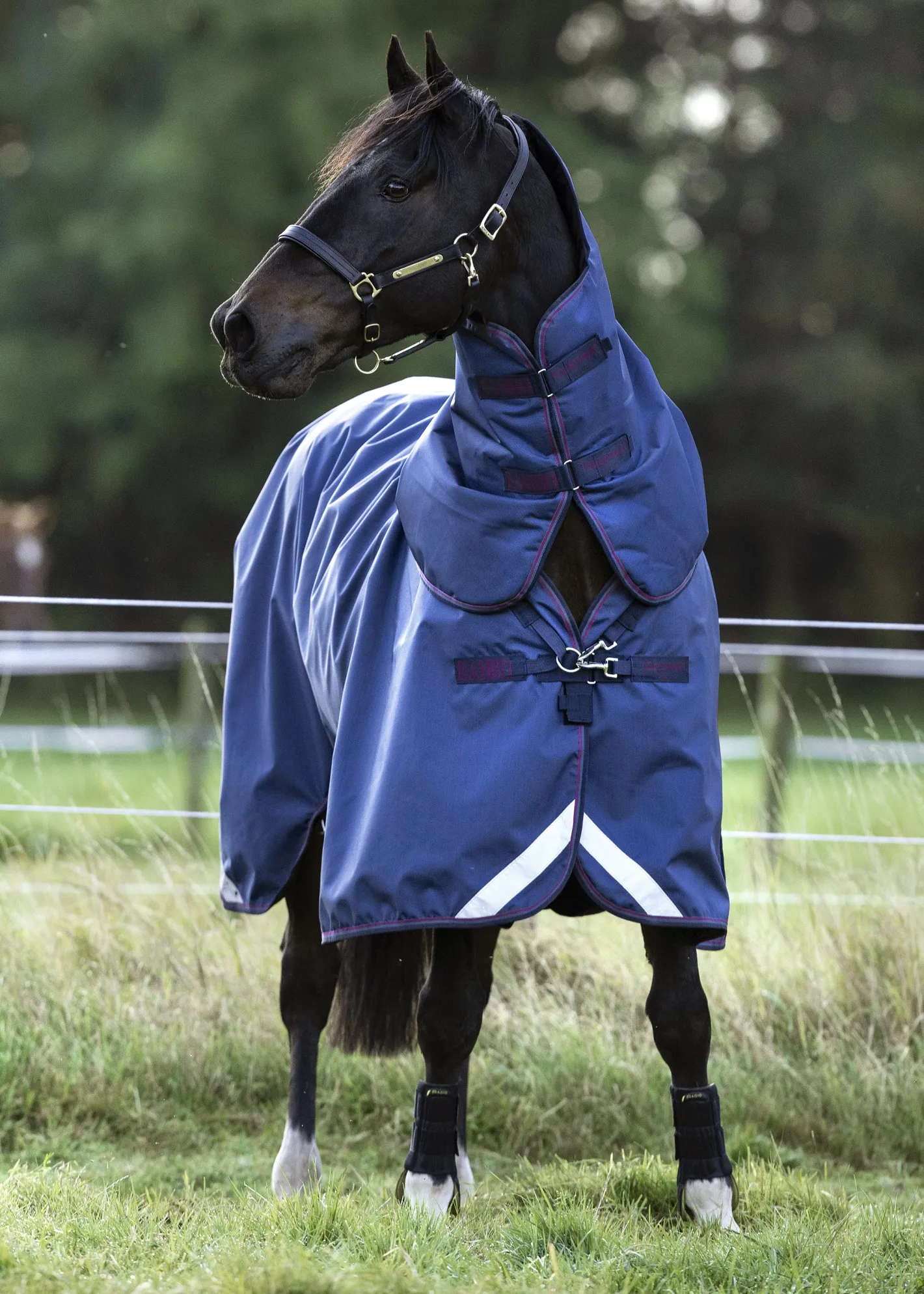 HORSEWARE ® Ireland Rambo® Optimo Turnout Blanket
