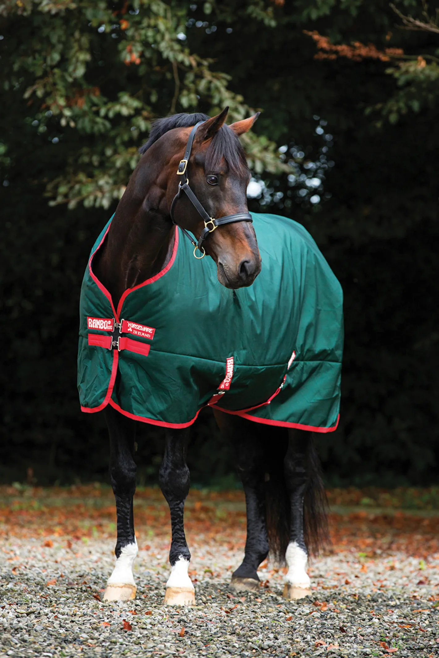 HORSEWARE ® Ireland Rambo® Original 1000D Heavyweight Turnout–400G