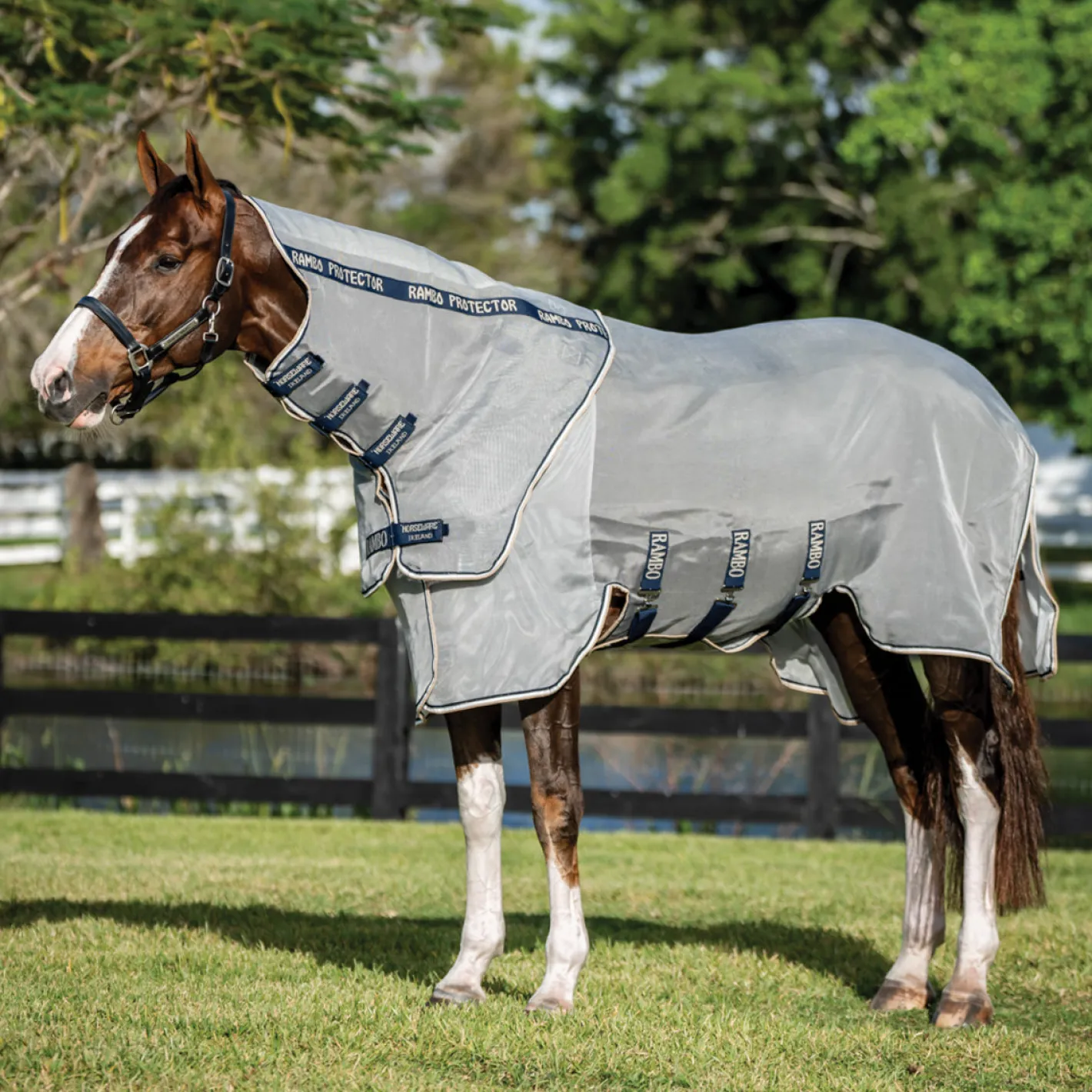 HORSEWARE ® Ireland Rambo® Protector Fieldsafe Plus